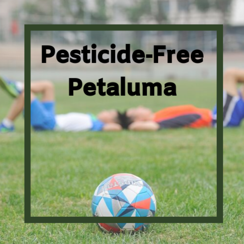 Kids on a soccer field for Pesticide-Free Petaluma- Families Advocating for Chemical & Toxics Safety