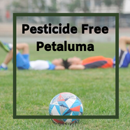Pesticides Free Petaluma- Families Advocating for Chemical & Toxics Safety