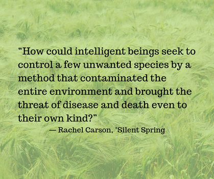 Quote from Rachel Carson, Silent Spring- Families Advocating for Chemical & Toxics Safety