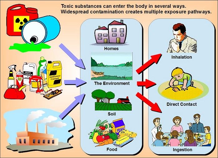 Multiple toxics exposure pathways- Families Advocating for Chemical & Toxics Safety