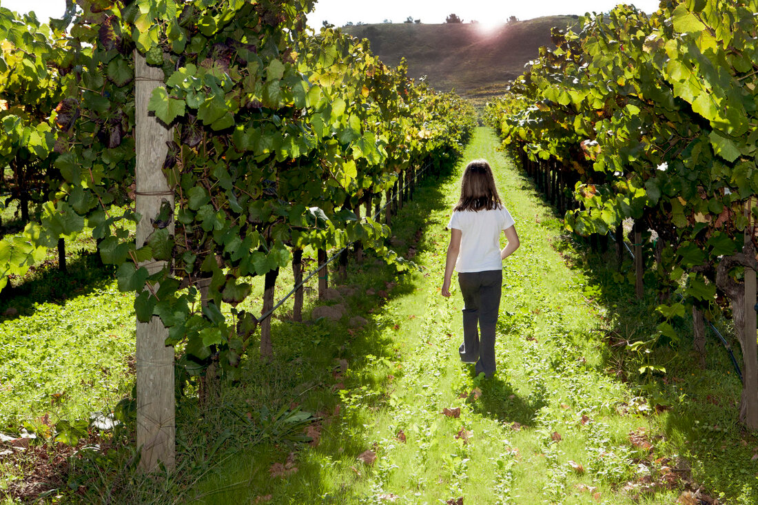 Girl in vineyard- Families Advocating for Chemical & Toxics Safety